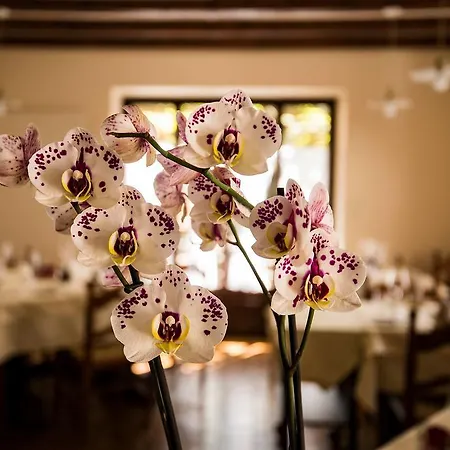 Hotel Charme Osteria Carletti